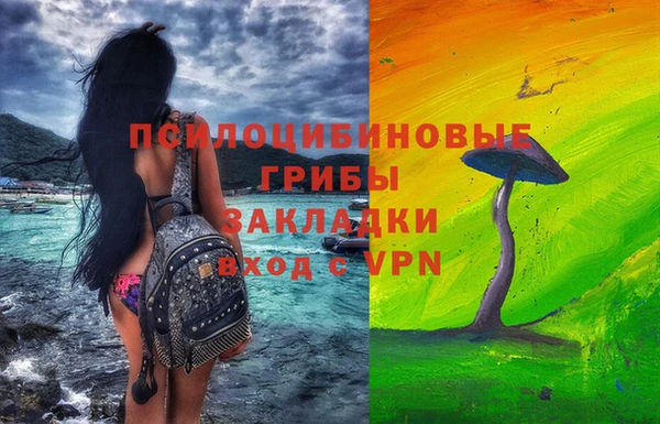 МДПВ Алексеевка