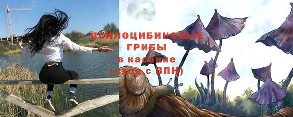 МДПВ Алексеевка