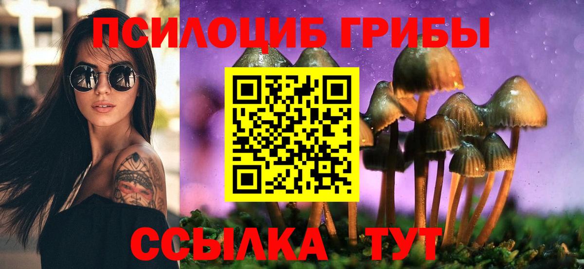 Псилоцибиновые грибы Cubensis  Вход с VPN  как найти закладки  Апрелевка 